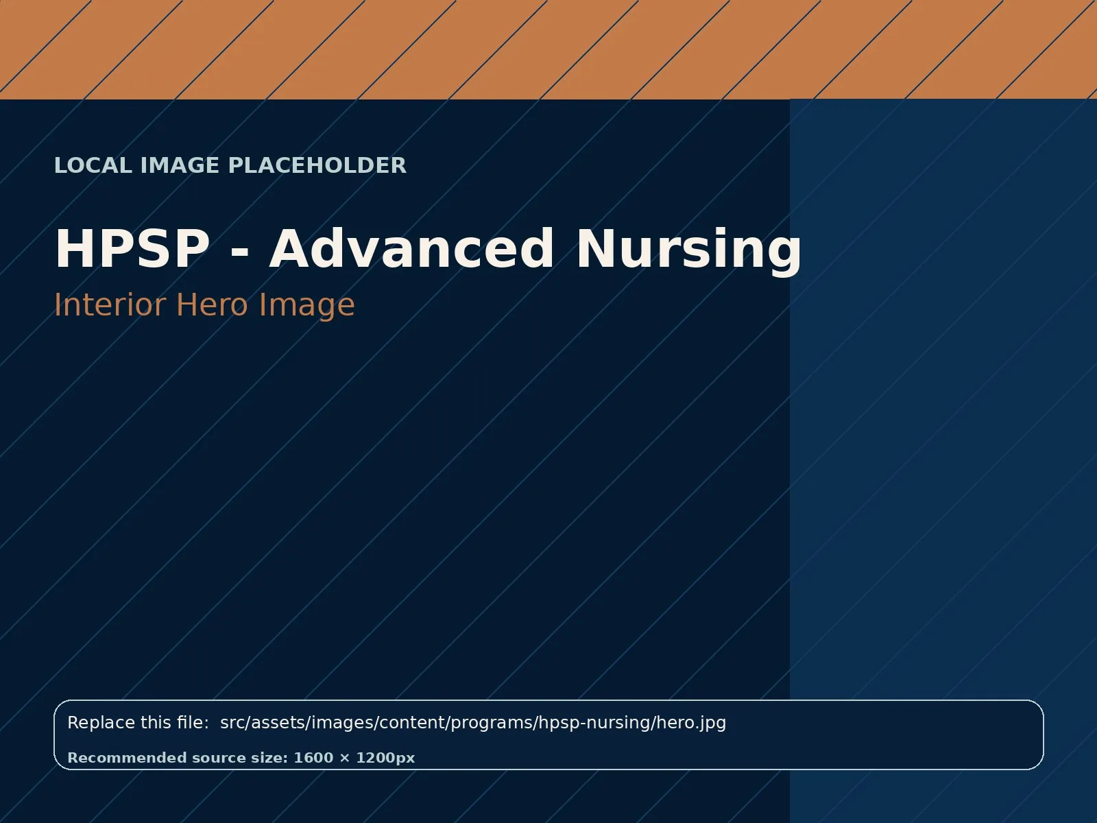 HPSP - Advanced Nursing hero image