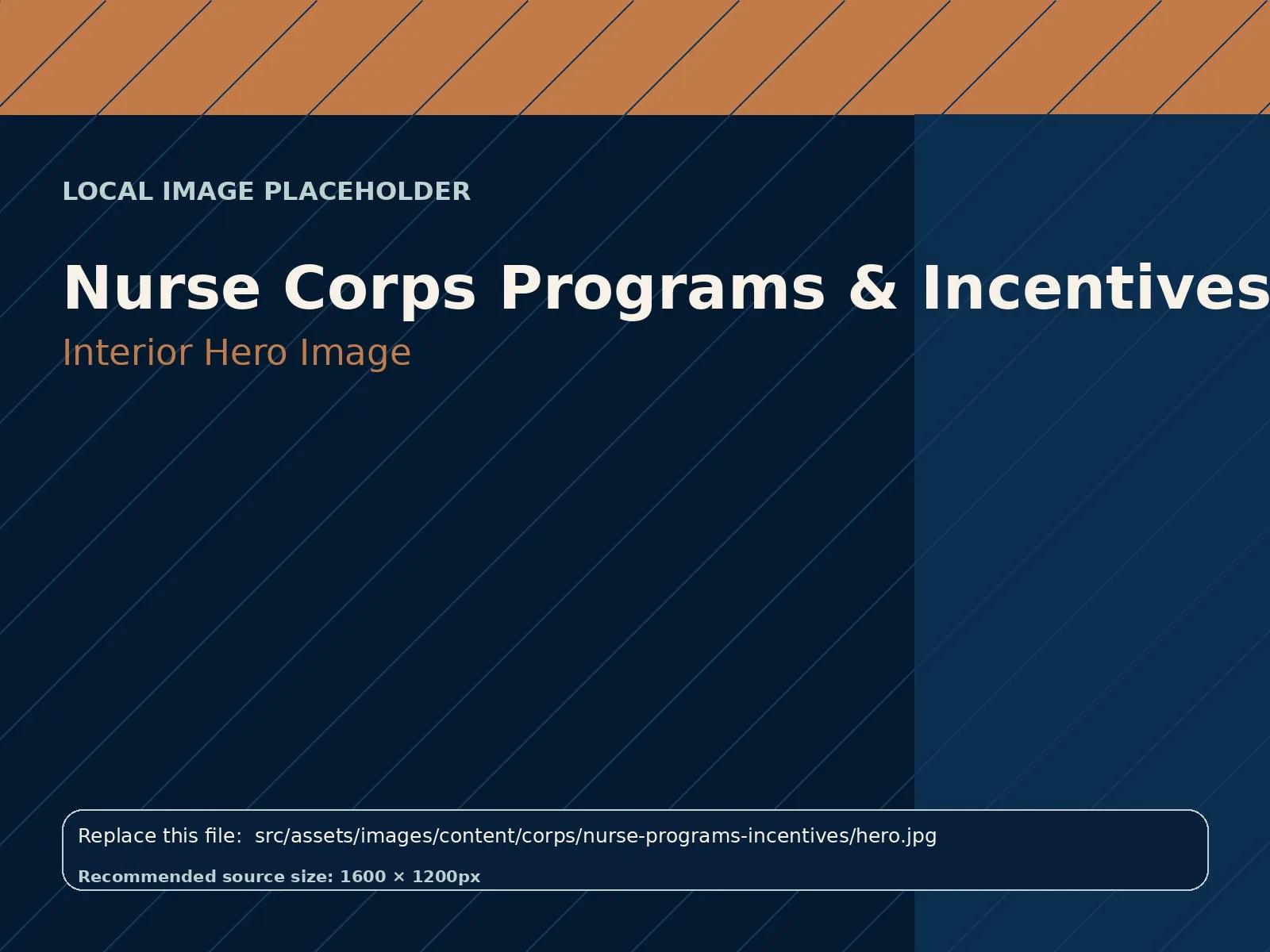 Nurse Corps Programs & Incentives hero image