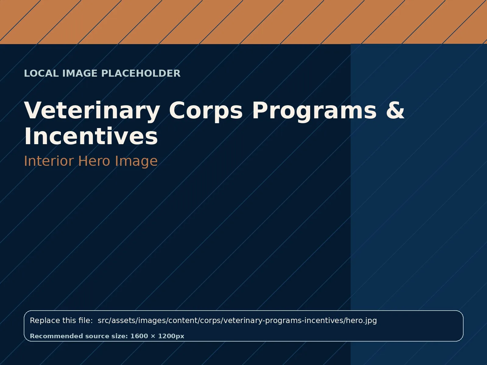 Veterinary Corps Programs & Incentives hero image