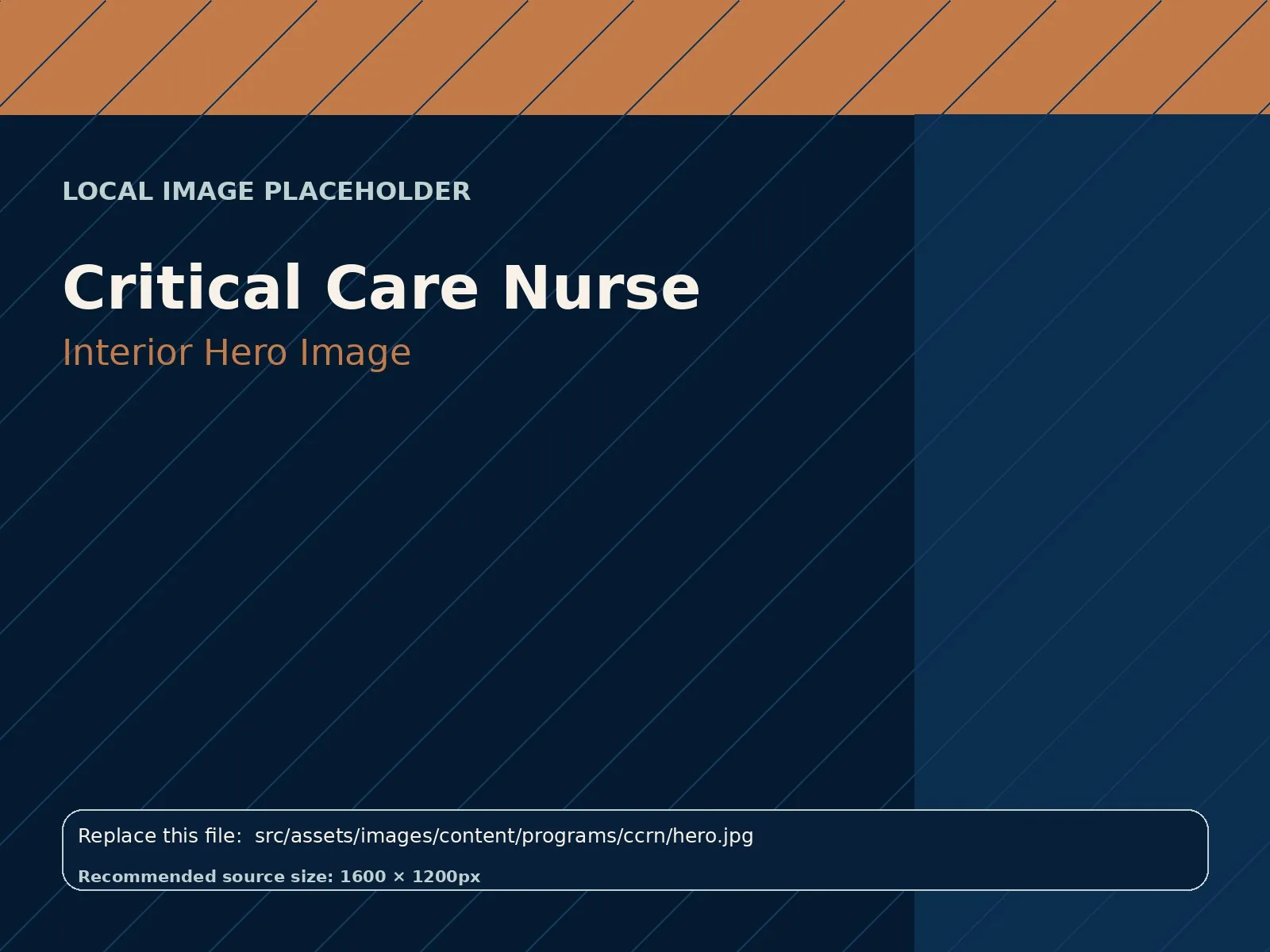 Critical Care Nurse hero image