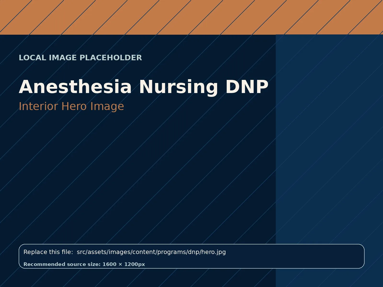 Anesthesia Nursing DNP hero image
