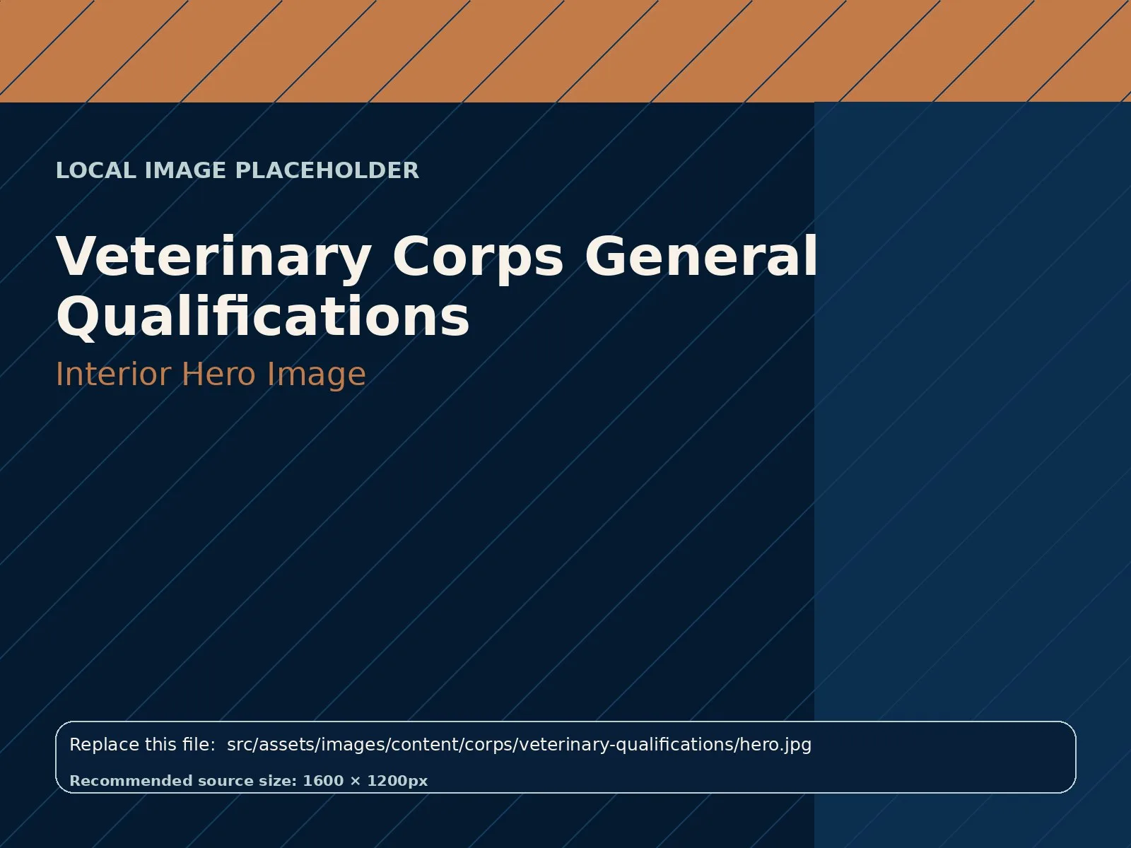Veterinary Corps General Qualifications hero image