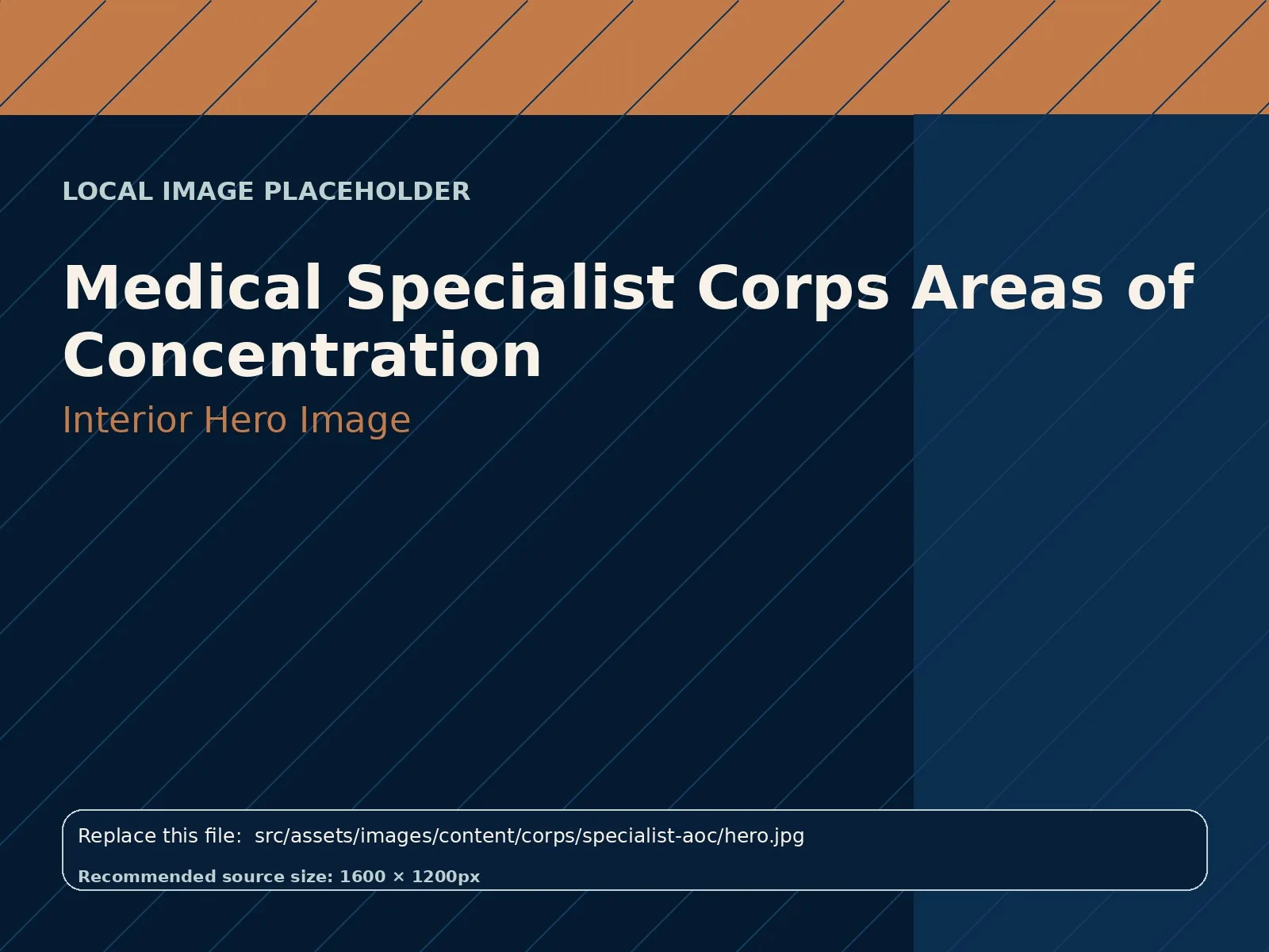 Medical Specialist Corps Areas of Concentration hero image