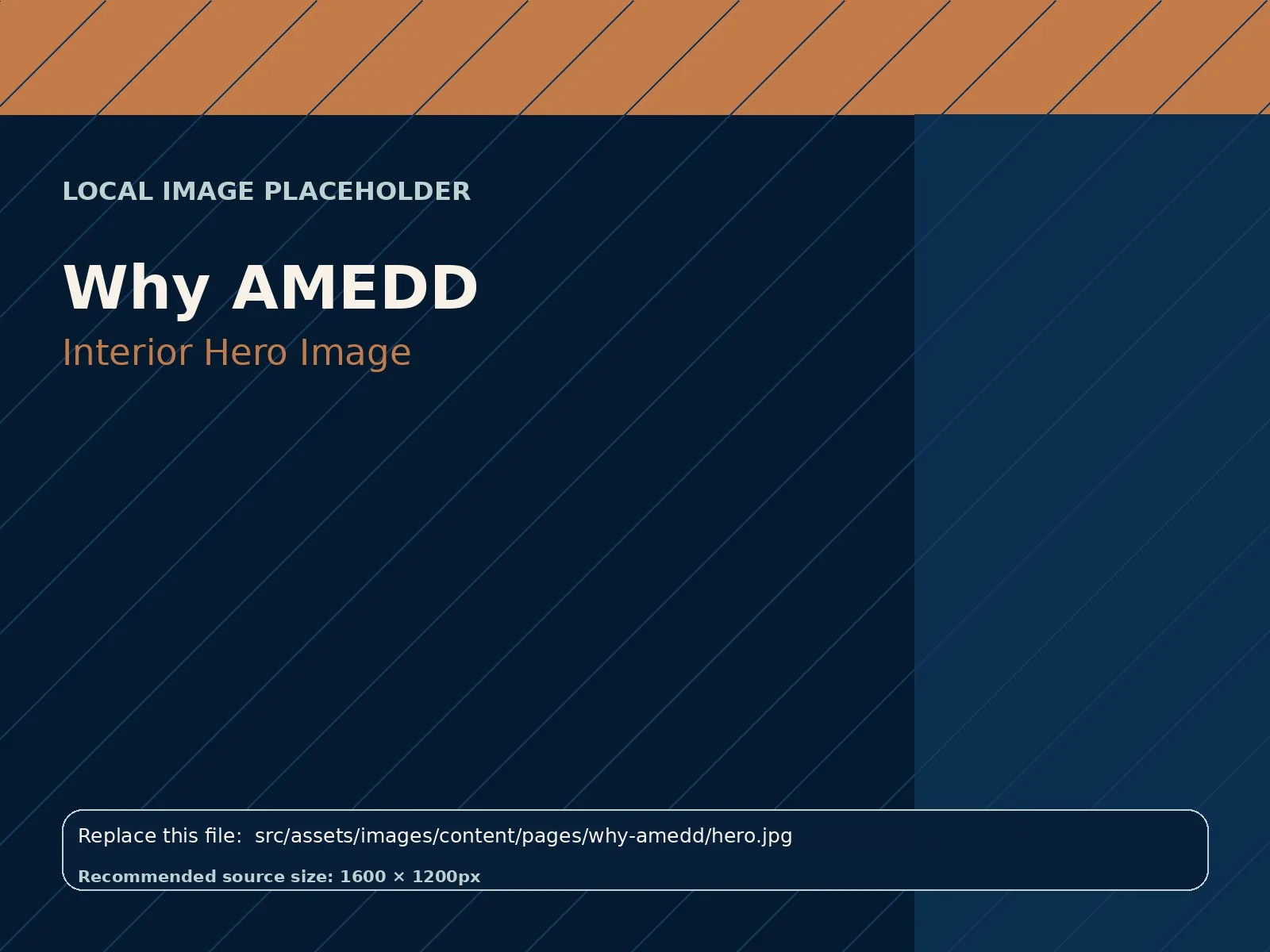 Why AMEDD hero image