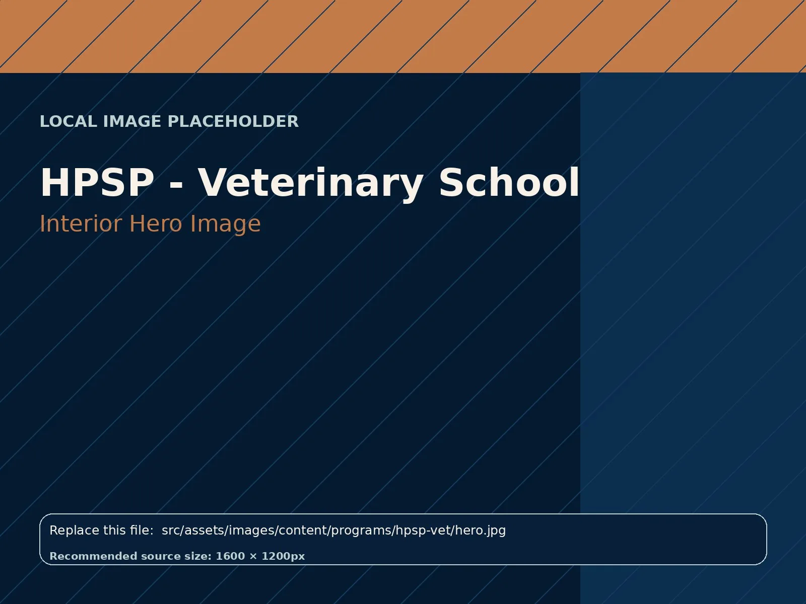 HPSP - Veterinary School hero image