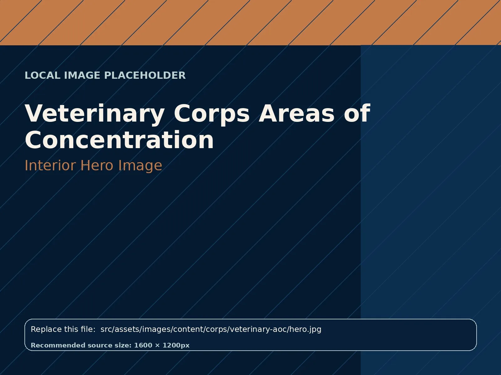 Veterinary Corps Areas of Concentration hero image