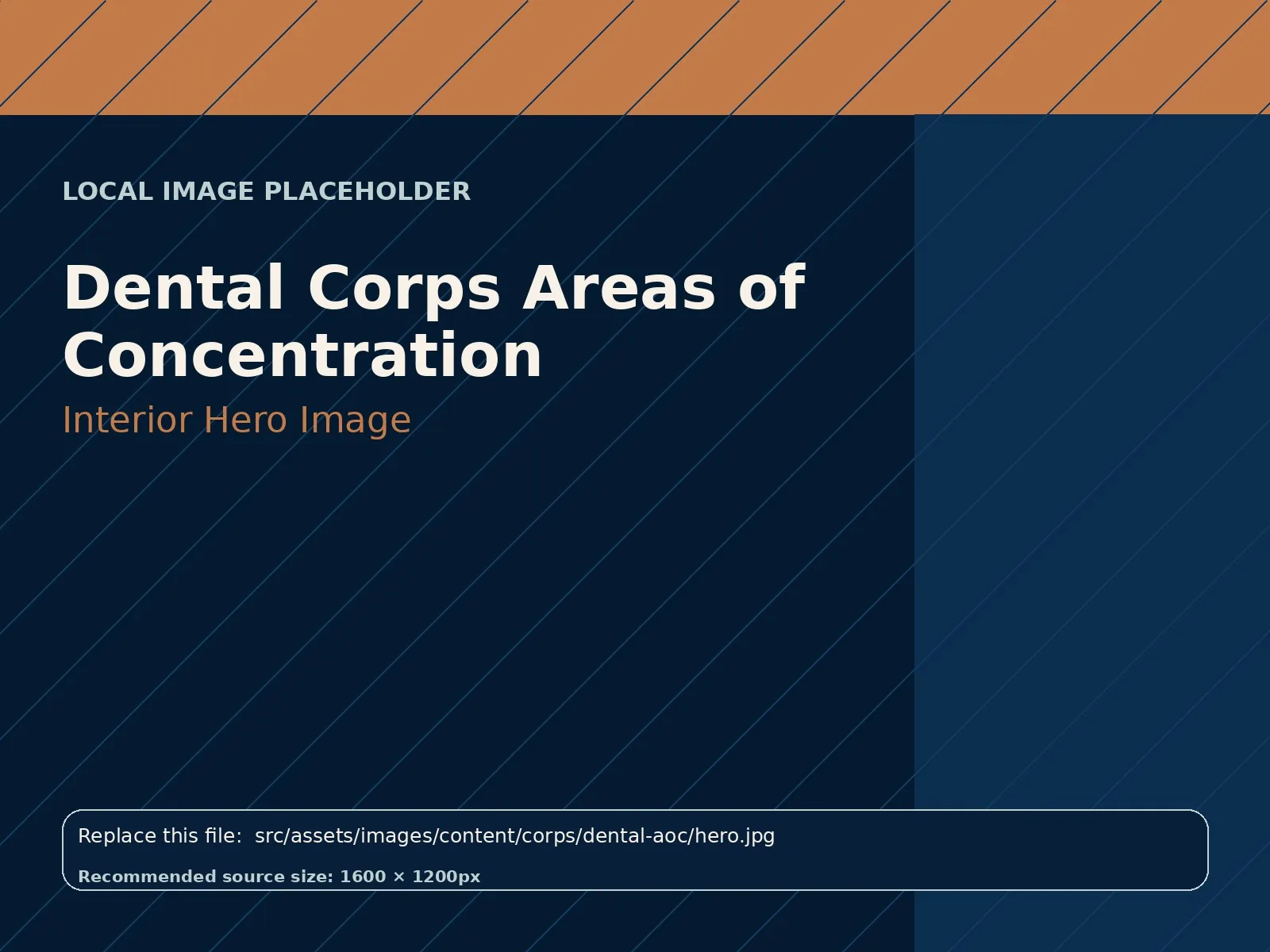 Dental Corps Areas of Concentration hero image