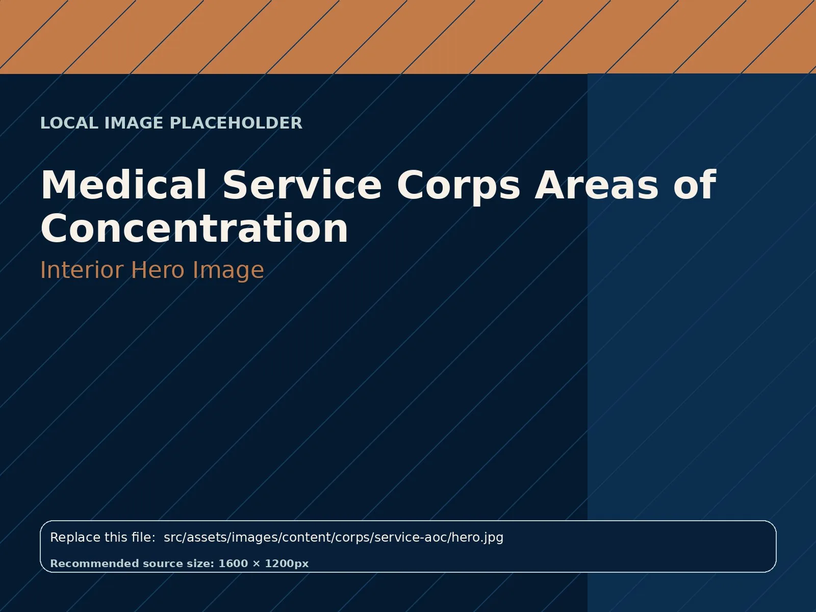 Medical Service Corps Areas of Concentration hero image