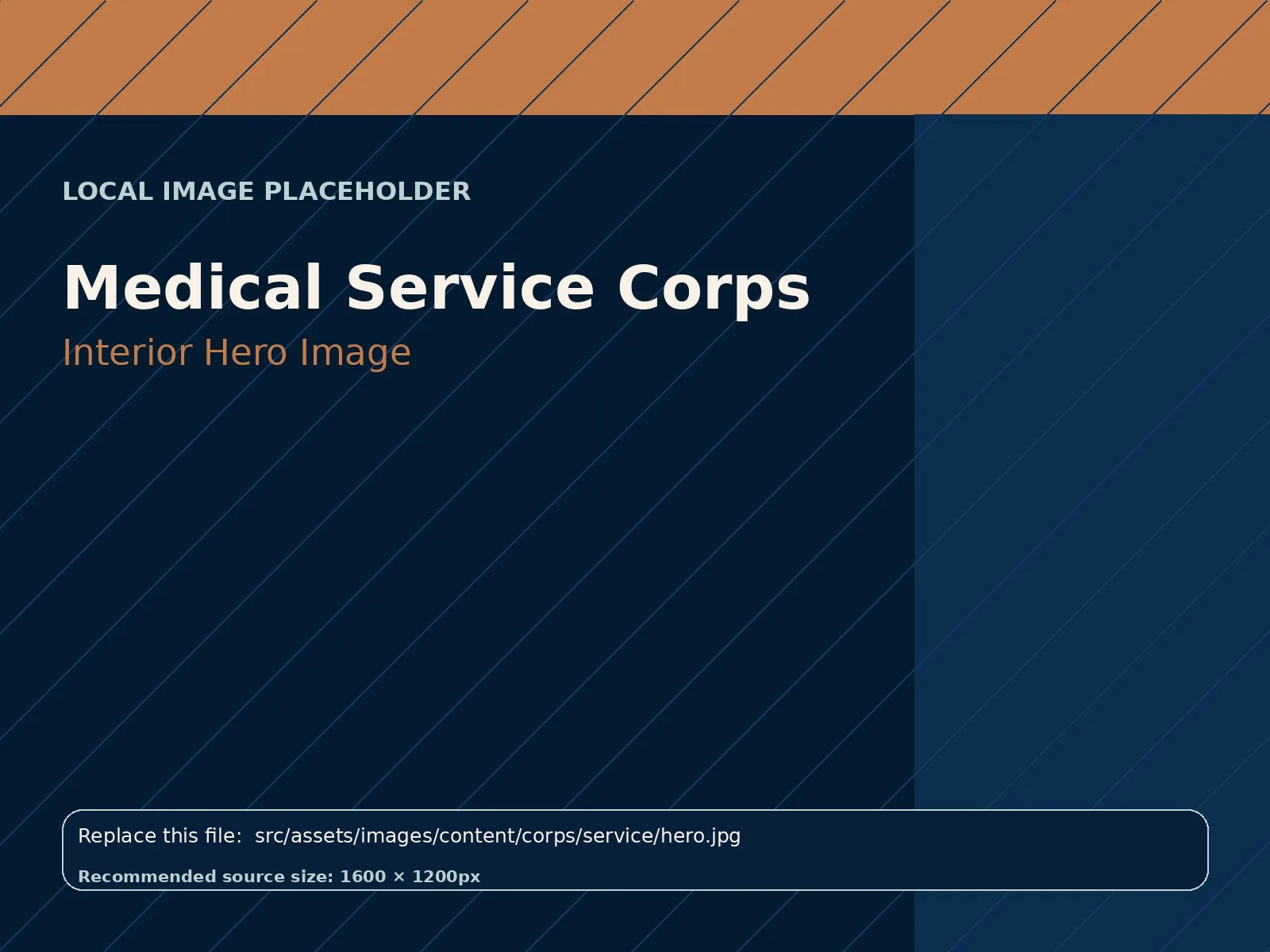 Medical Service Corps hero image