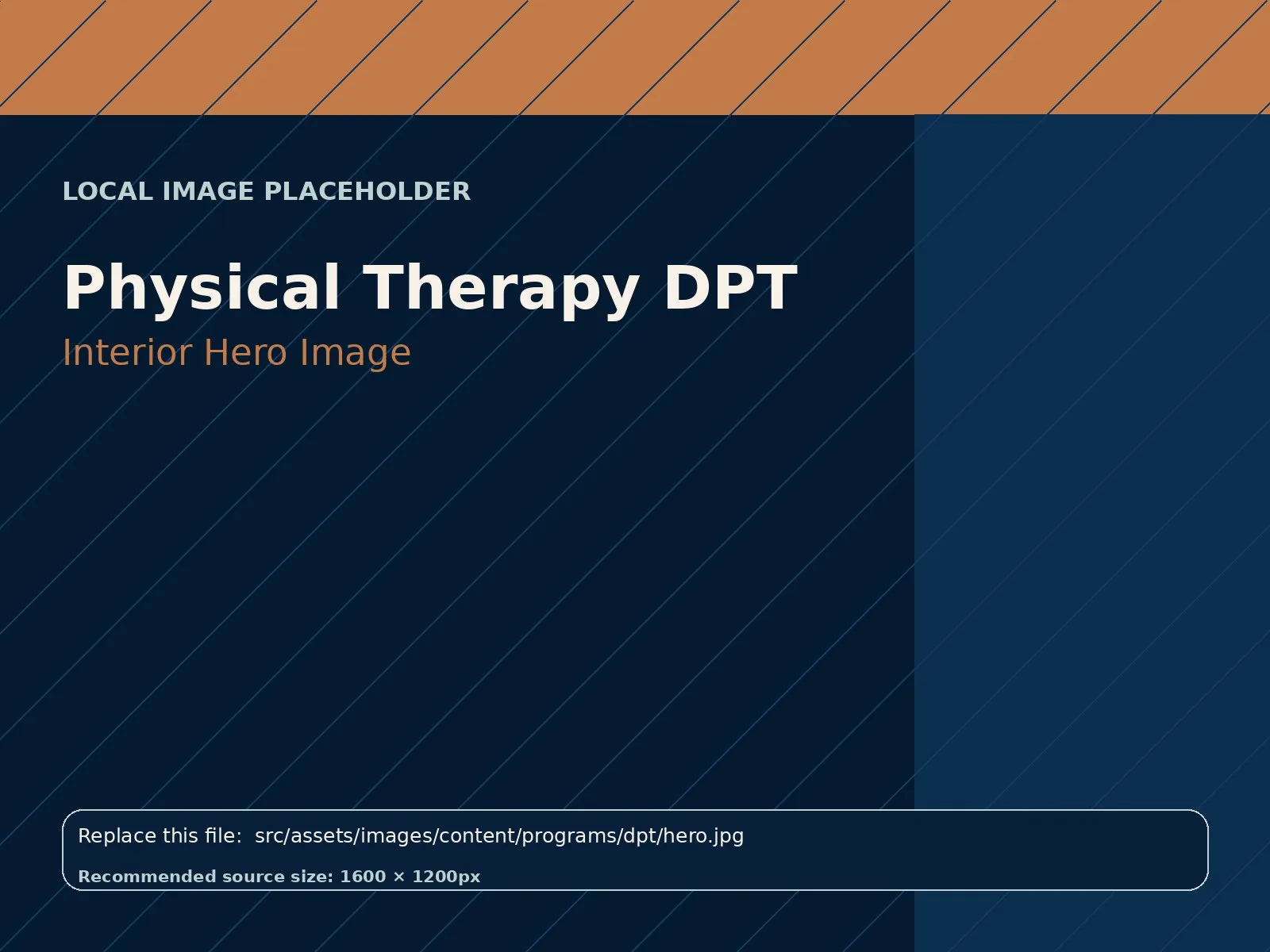 Physical Therapy DPT hero image