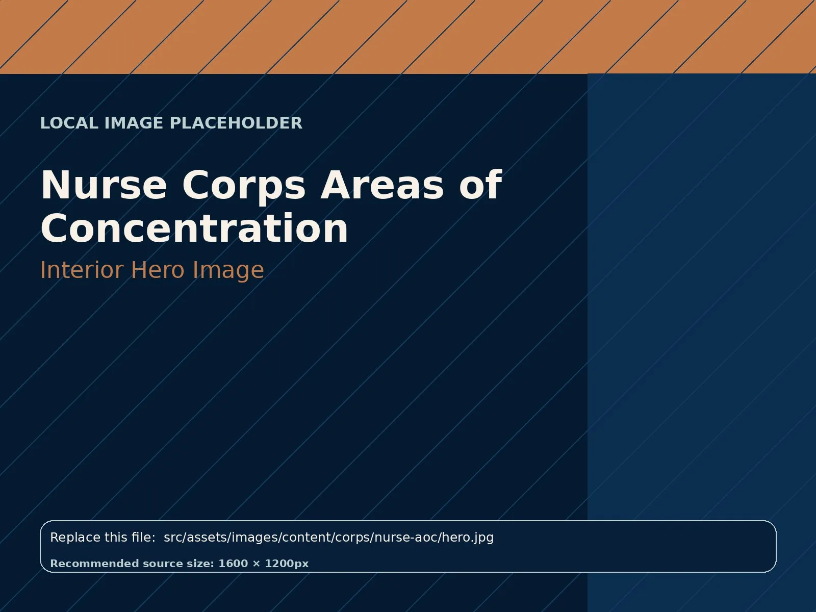 Nurse Corps Areas of Concentration hero image