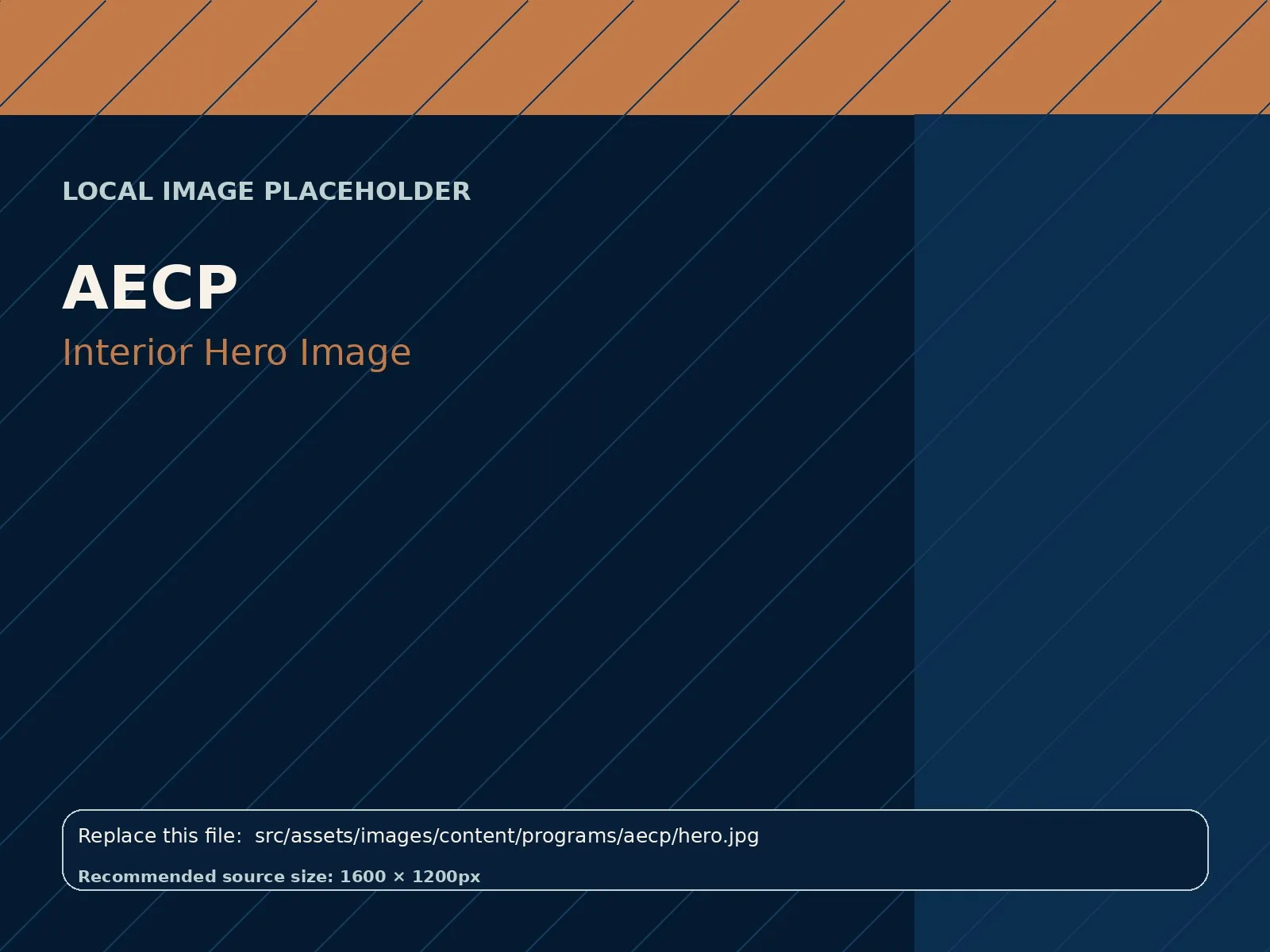 AECP hero image