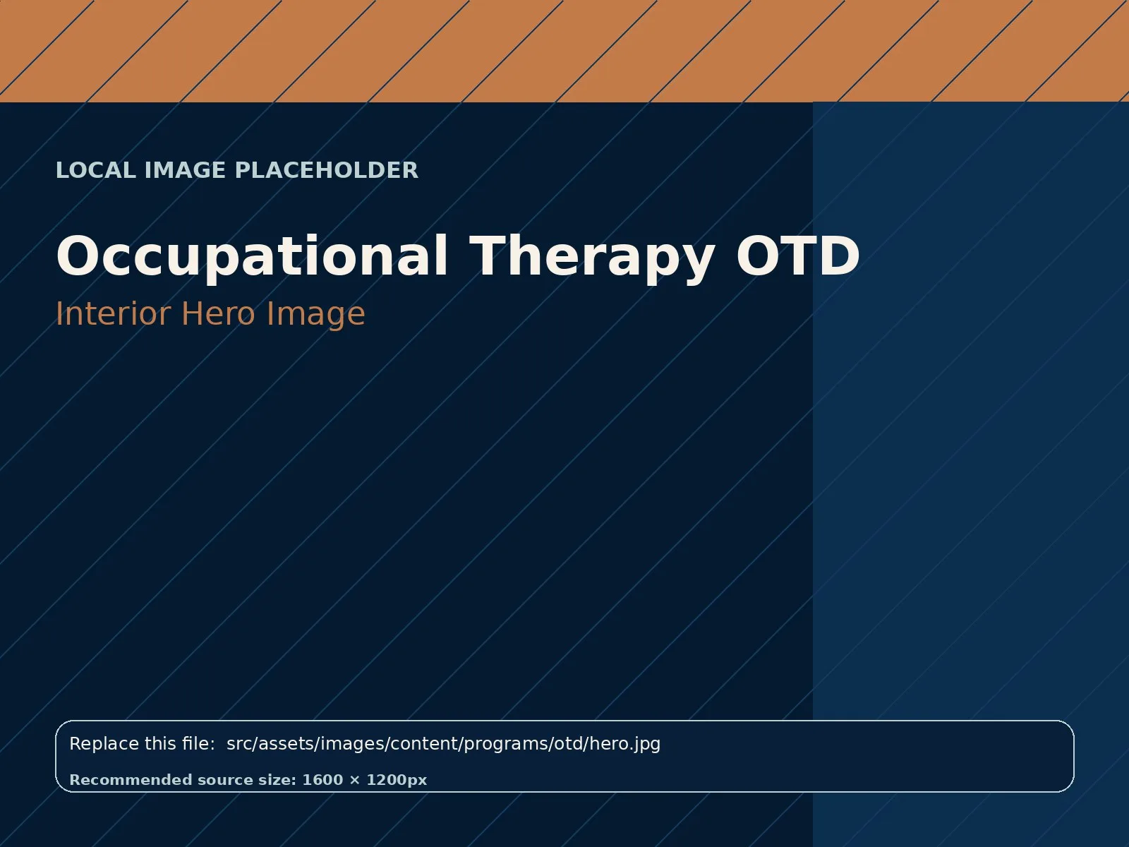 Occupational Therapy OTD hero image